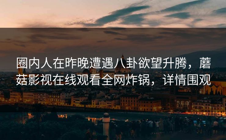 圈内人在昨晚遭遇八卦欲望升腾，蘑菇影视在线观看全网炸锅，详情围观