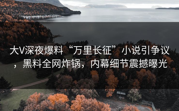 大V深夜爆料“万里长征”小说引争议，黑料全网炸锅，内幕细节震撼曝光