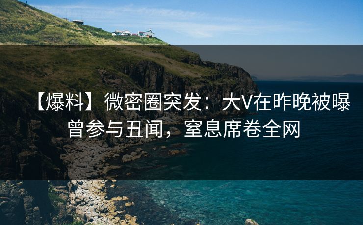 【爆料】微密圈突发：大V在昨晚被曝曾参与丑闻，窒息席卷全网
