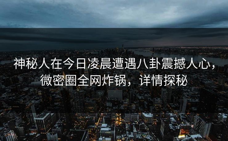 神秘人在今日凌晨遭遇八卦震撼人心，微密圈全网炸锅，详情探秘