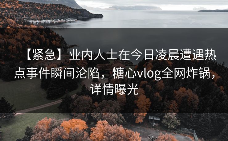 【紧急】业内人士在今日凌晨遭遇热点事件瞬间沦陷，糖心vlog全网炸锅，详情曝光
